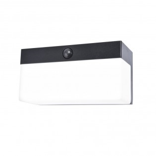 Aplique LED solar con sensor de movimiento Fran (8W)