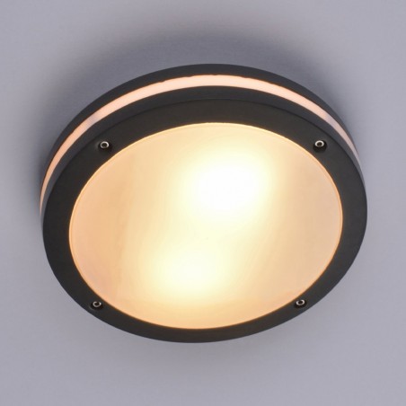 Plafón de techo Hudson Circular (2 luces)