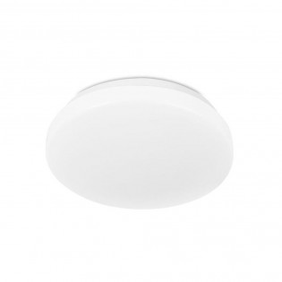 LED Ceiling Flush Light Smart (21W)