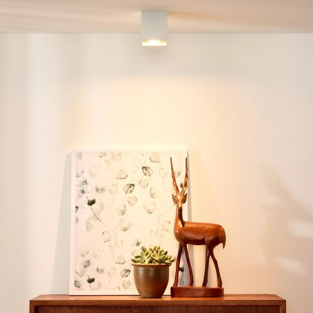 Ceiling Flush Light Bodi Square