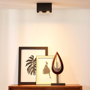 Foco de techo Bodi (2 luces)