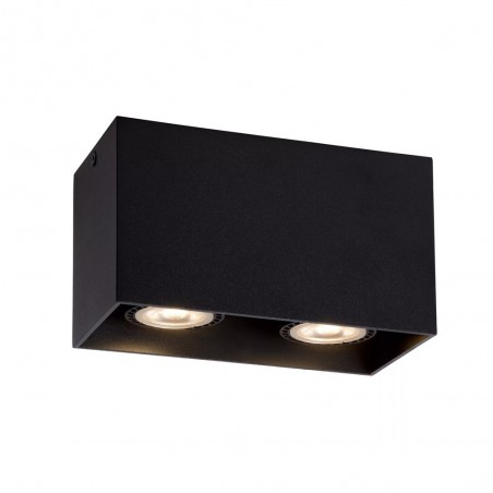 Ceiling Flush Light  Bodi (2 lights)