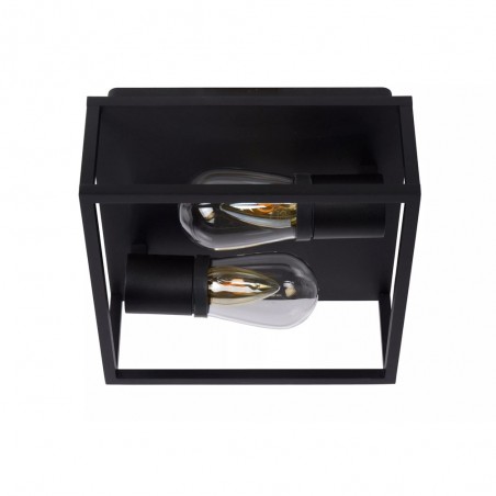 Bathroom's Ceiling Flush Light Carlyn (2 Lights)