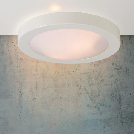 Bathroom's Ceiling Flush Light Fresh (2 lights)