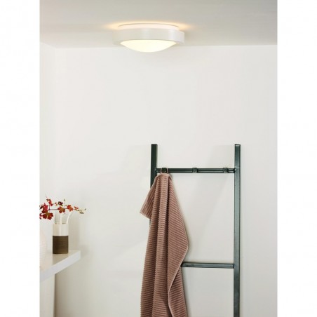 Bathroom's Ceiling Flush Light Fresh (2 lights)