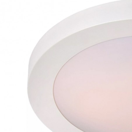 Bathroom's Ceiling Flush Light Fresh (2 lights)