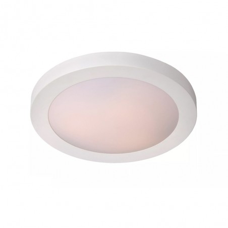 Bathroom's Ceiling Flush Light Fresh (2 lights)