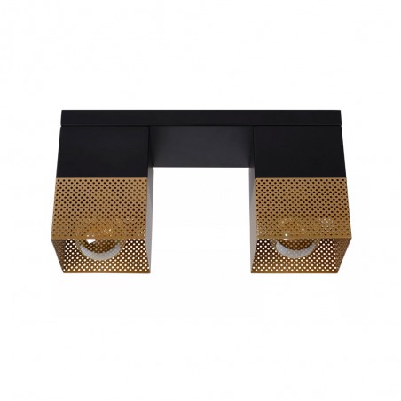 Ceiling Flush Light Renate (2 lights)