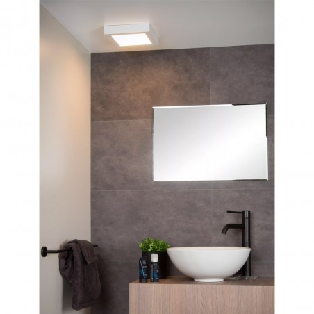 Bathroom's LED Flush Light Brice Square (20W)