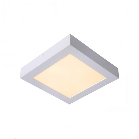 Bathroom's LED Flush Light Brice Square (20W)