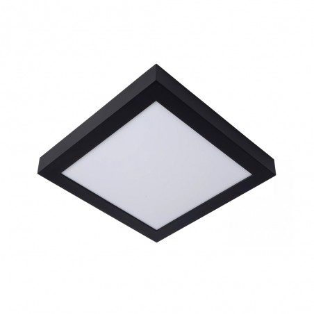 Bathroom's LED Flush Light Brice Square (30W)
