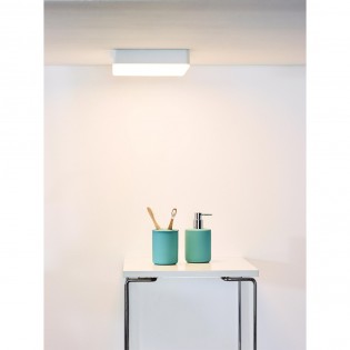 Bathroom's LED Flush Light Ceres Square (30W)