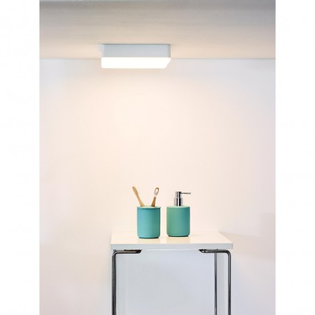 Bathroom's LED Flush Light Ceres Square (30W)