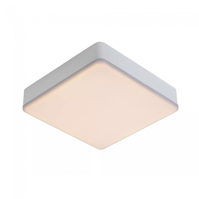 Bathroom's LED Flush Light Ceres Square (30W)