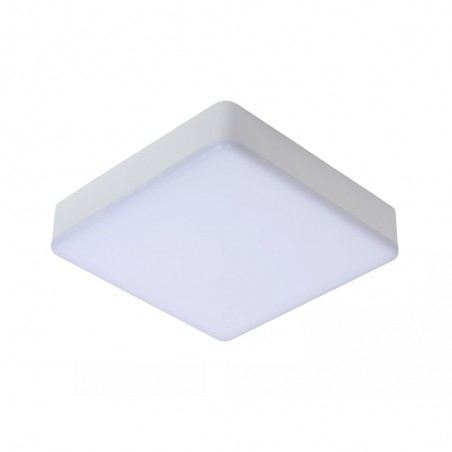 Bathroom's LED Flush Light Ceres Square (30W)