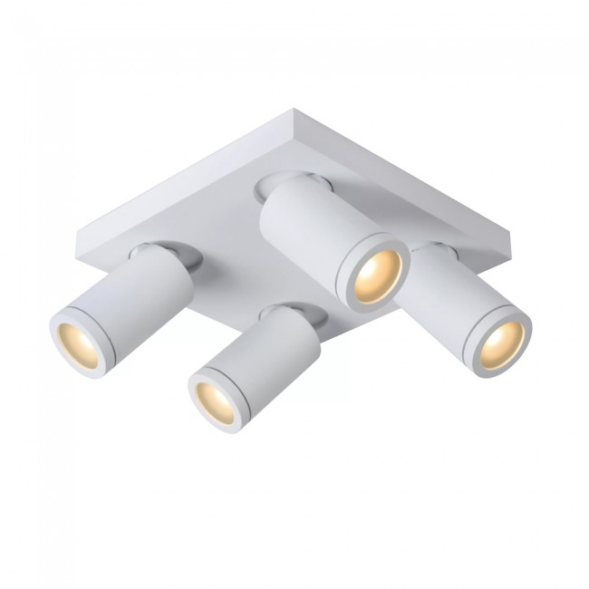 Bathroom's LED Flsuh Light Taylor (4x5W)