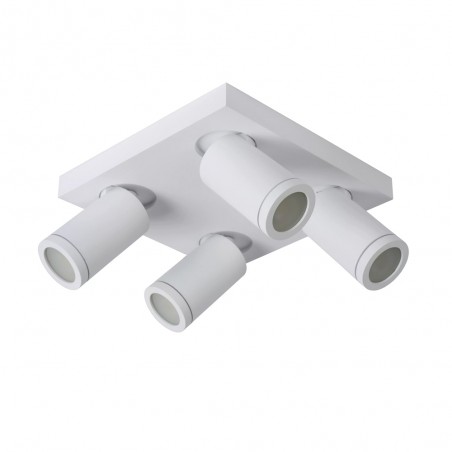 Bathroom's LED Flsuh Light Taylor (4x5W)