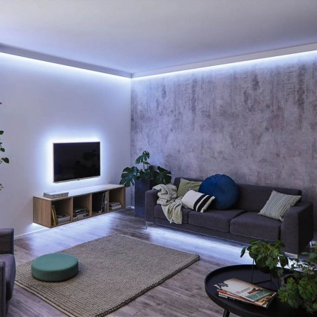 LED Strip 5 metres MaxLED 6500ºK (19W)