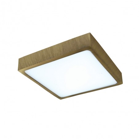 Downlight squared LED Kaju (30W)