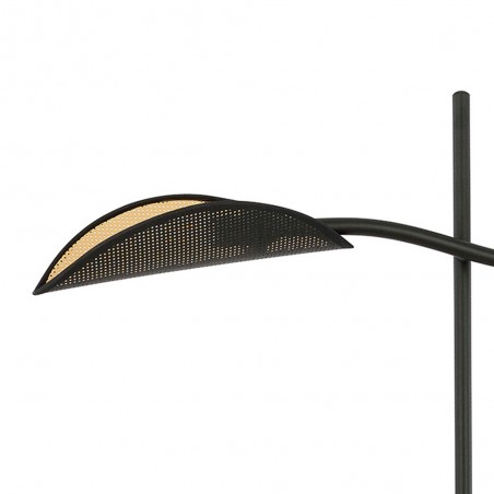 Floor Lamp Flik Black (2 lights)