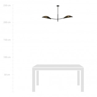 Ceiling Lamp Flik Black (2 lights)