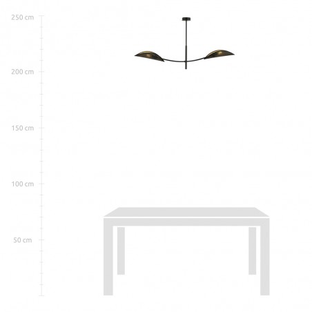 Ceiling Lamp Flik Black (2 lights)
