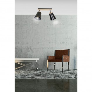 Ceiling Track Light Tasla Black (2 lights)