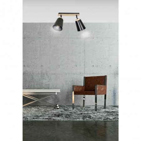 Tasla Black Deckenleiste (2 Leuchten)