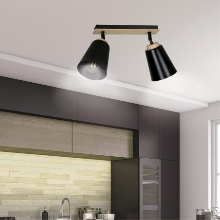 Ceiling Track Light Tasla Black (2 lights)