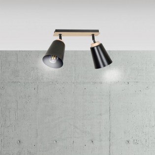 Ceiling Track Light Tasla Black (2 lights)