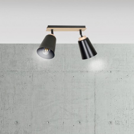 Ceiling Track Light Tasla Black (2 lights)