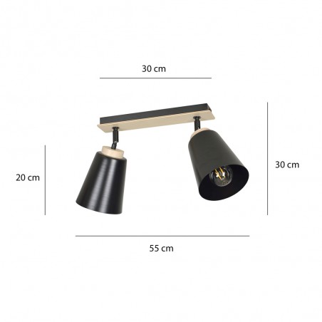 Ceiling Track Light Tasla Black (2 lights)