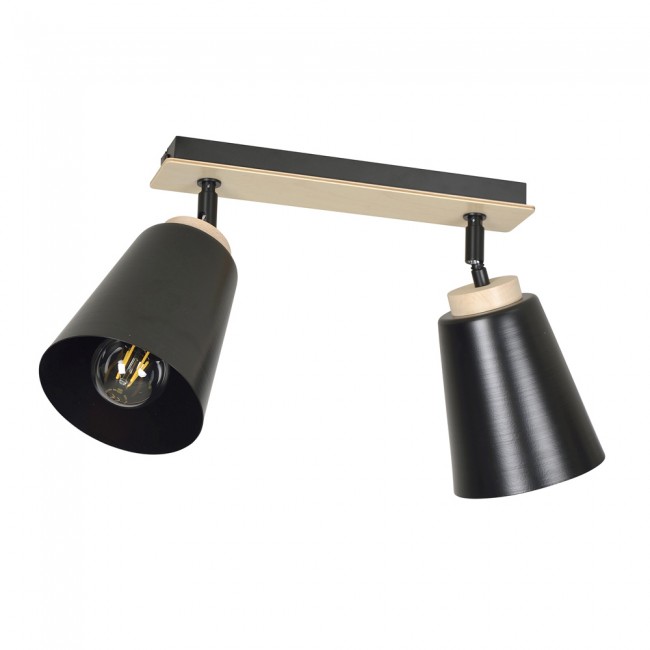 Ceiling Track Light Tasla Black (2 lights)