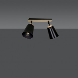 Ceiling Track Light Tasla Black (2 lights)