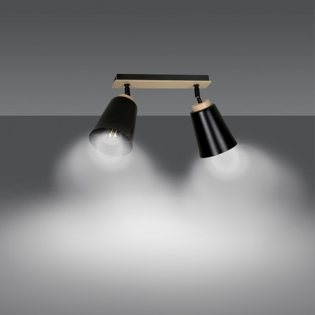 Ceiling Track Light Tasla Black (2 lights)