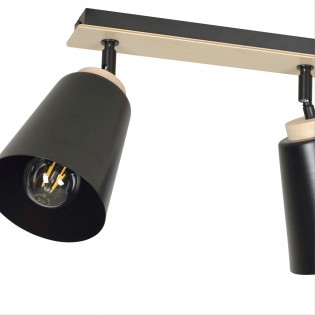 Ceiling Track Light Tasla Black (2 lights)
