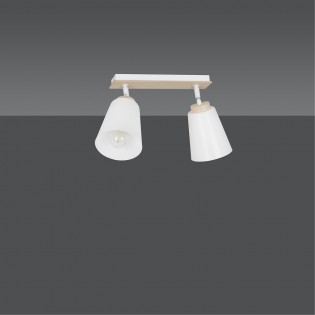 Ceiling Track Light Tasla White (2 lights)