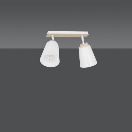 Ceiling Track Light Tasla White (2 lights)