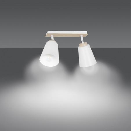 Ceiling Track Light Tasla White (2 lights)