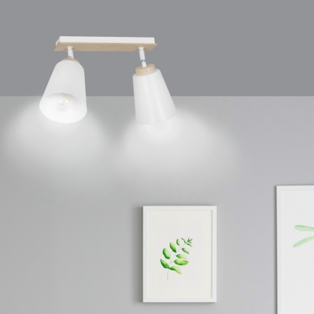 Ceiling Track Light Tasla White (2 lights)