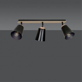 Tasla Black Deckenleiste (3 Leuchten)