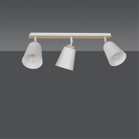 Ceiling Track Light Tasla White (3 lights)
