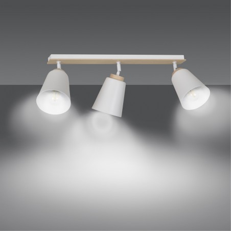 Ceiling Track Light Tasla White (3 lights)