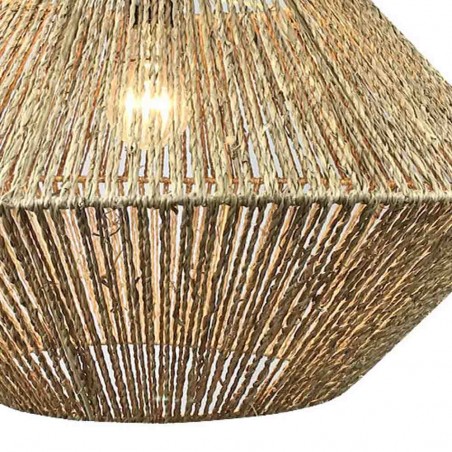 Ceiling lamp Bromelia II