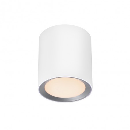 LED Flush Light Landon Long Smart (8W)