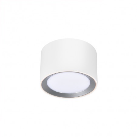 LED Flush Light Landon Smart (8W)
