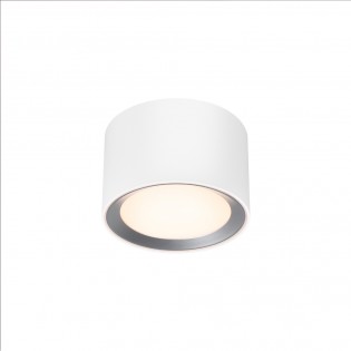 LED Flush Light Landon Smart (8W)