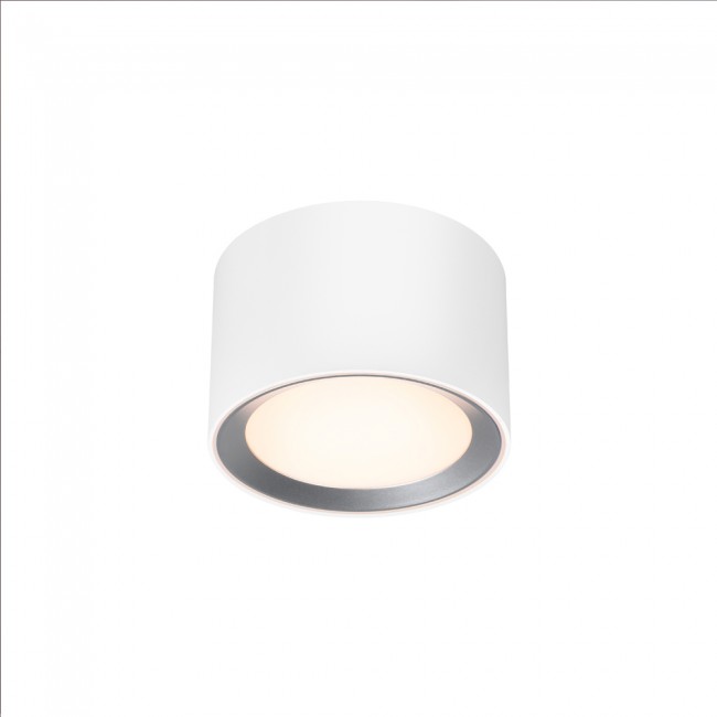 LED Flush Light Landon Smart (8W)