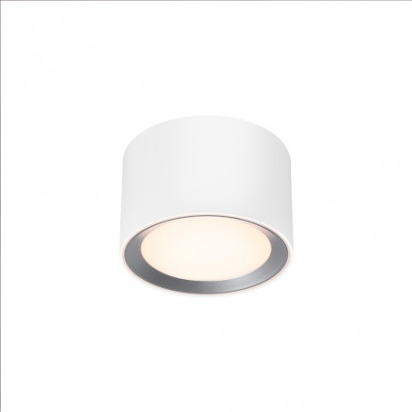 LED Flush Light Landon Smart (8W)