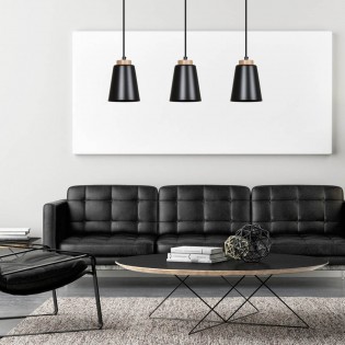 Ceiling Track Lamp Lasso Black (3 lights)